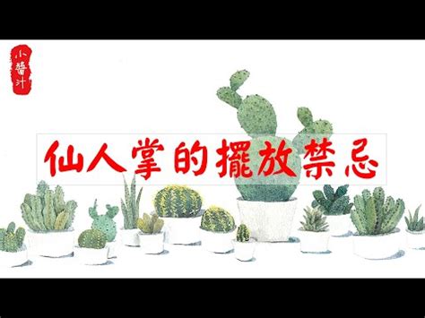 仙人掌放辦公室|【辦公室仙人掌】辦公室擺仙人掌招財防小人超有感，讓你職場無。